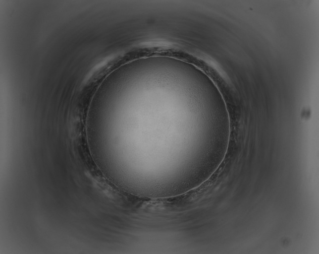 X0000096690967200802051342