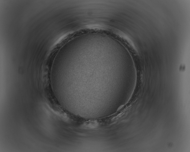 X0000096690968200802051342