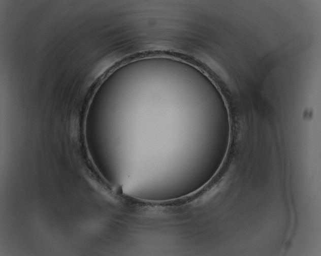 X0000096690969200802051342