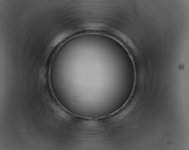 X0000096690970200802051342
