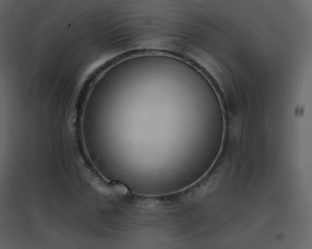 X0000096690971200802051342