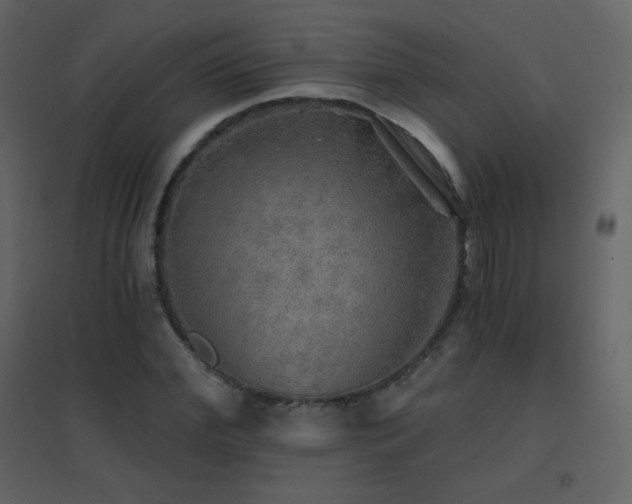 X0000096690972200802051342