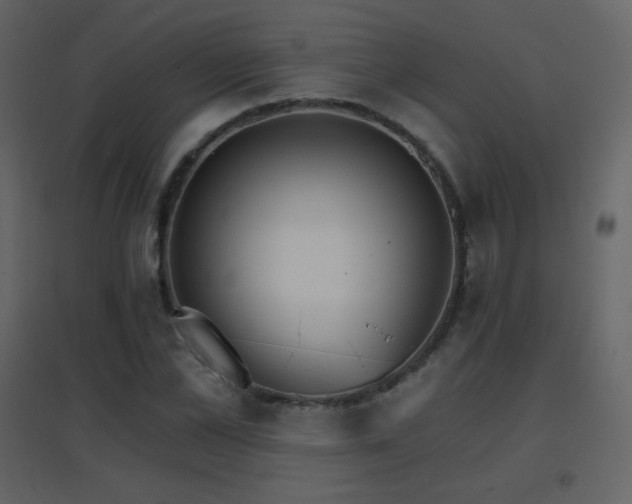 X0000096690973200802051342