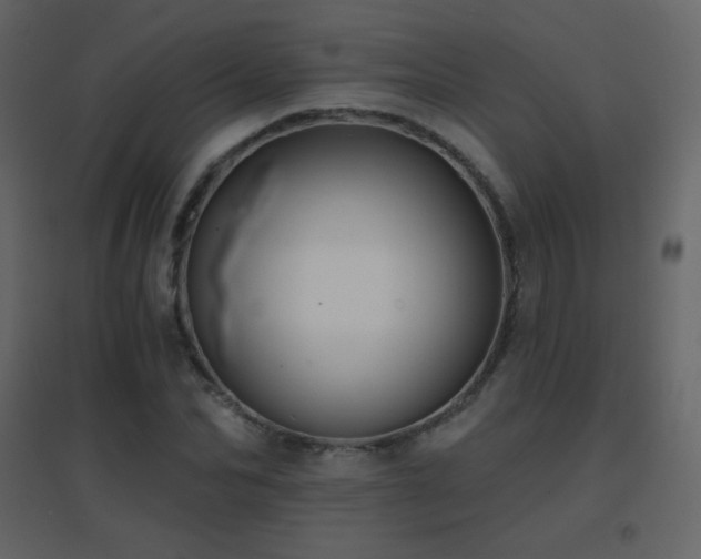 X0000096690974200802051342