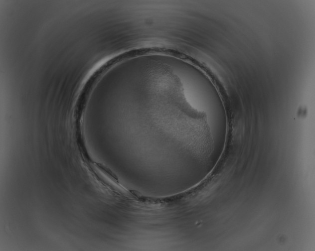 X0000096690975200802051342