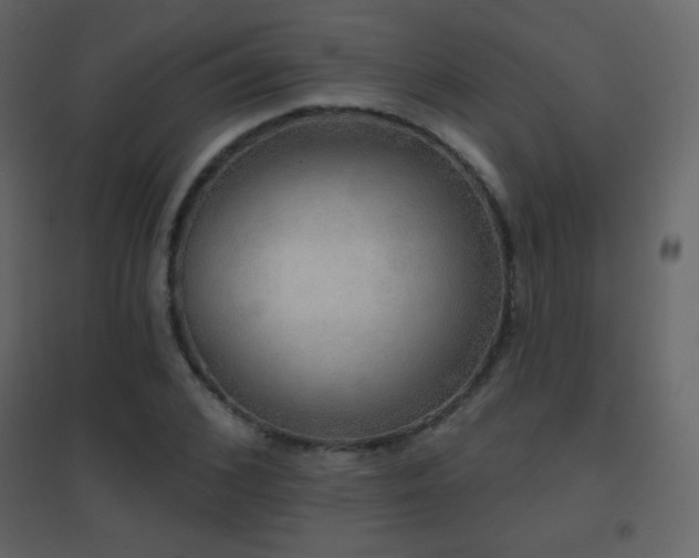 X0000096690976200802051342
