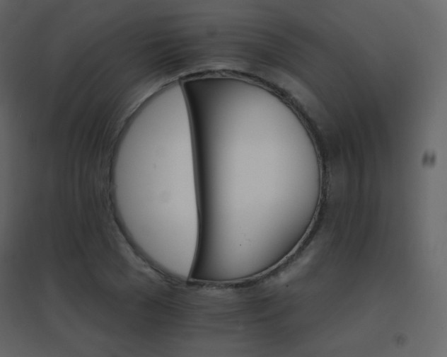 X0000096690977200802051342