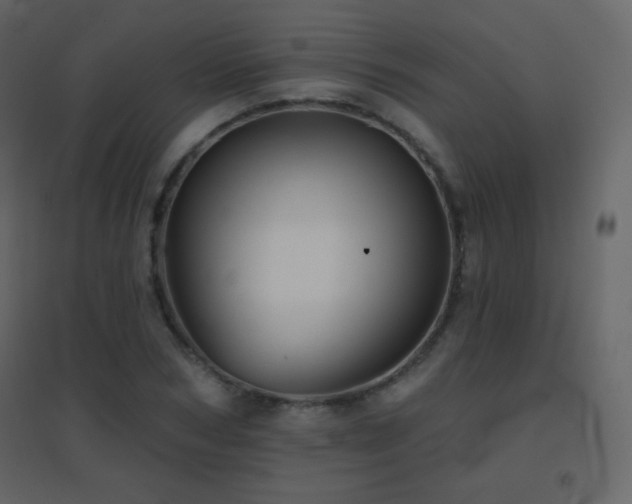 X0000096690978200802051342