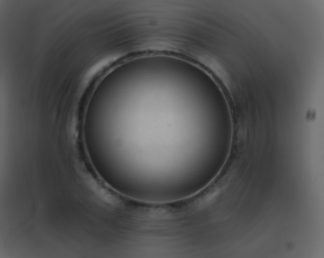 X0000096690979200802051342