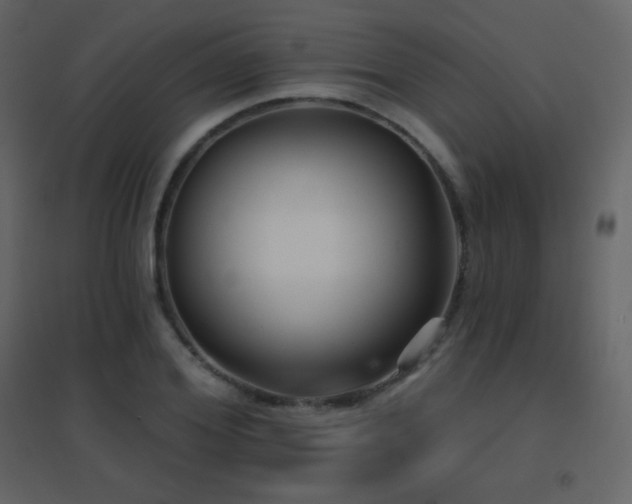 X0000096690980200802051342