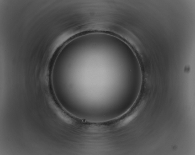 X0000096690981200802051342