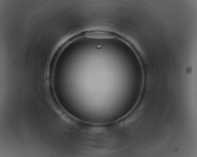 X0000096690982200802051342