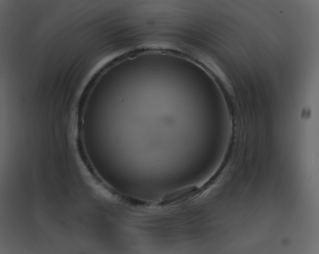 X0000096690984200802051342