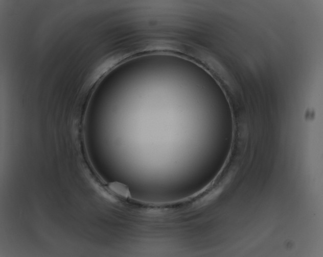X0000096690985200802051342