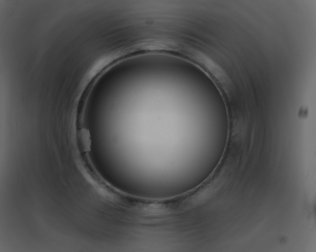 X0000096690986200802051342