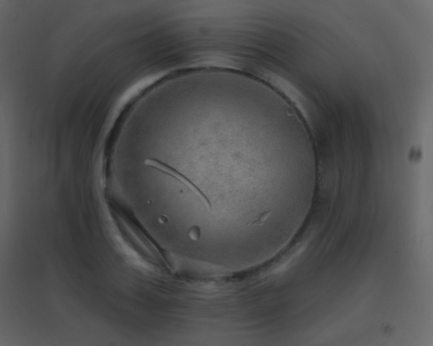 X0000096690987200802051342