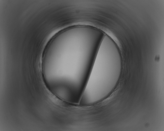 X0000096690988200802051342