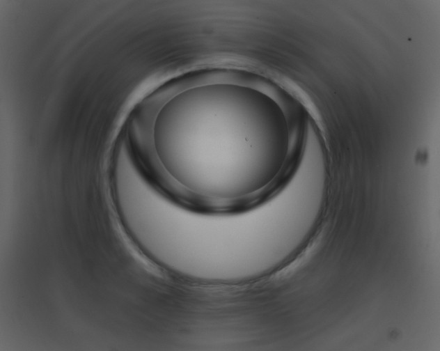 X0000096690989200802051342