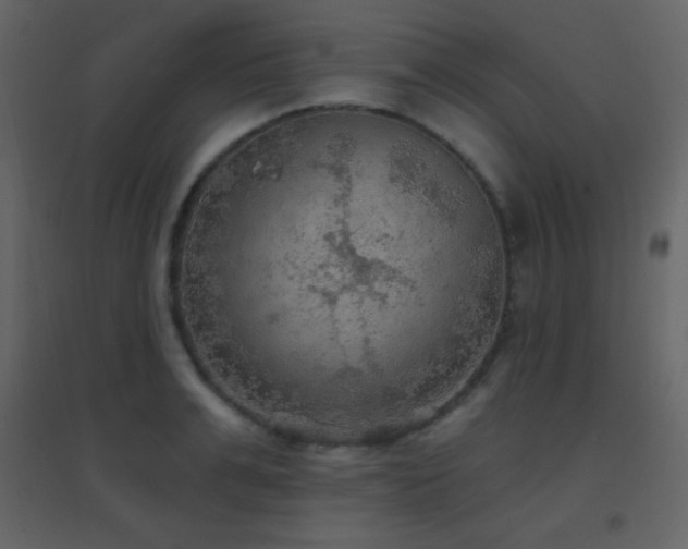 X0000096690991200802051342