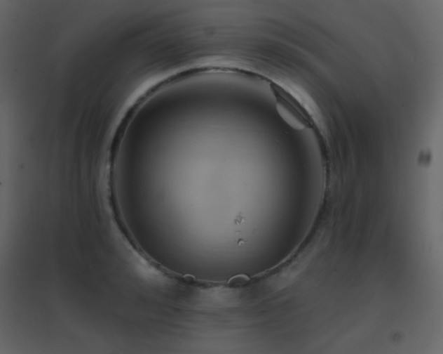 X0000096690992200802051342