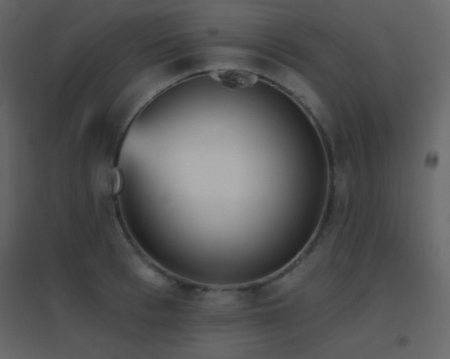 X0000096690993200802051342