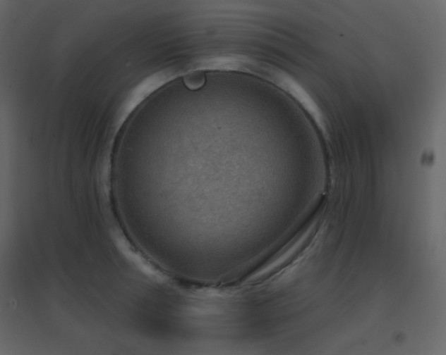 X0000096690994200802051342