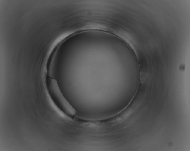 X0000096690995200802051342