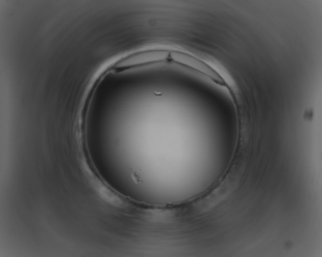X0000096690996200802051342