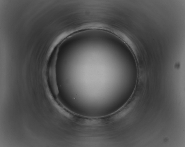 X0000096690997200802051342
