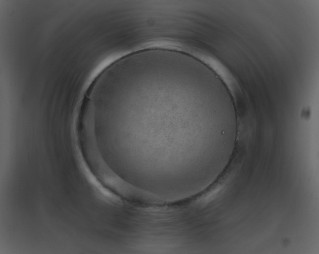 X0000096690999200802051341