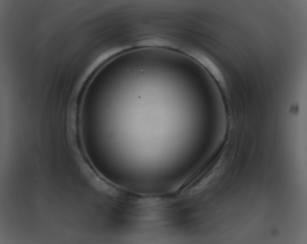 X0000096691000200802051341
