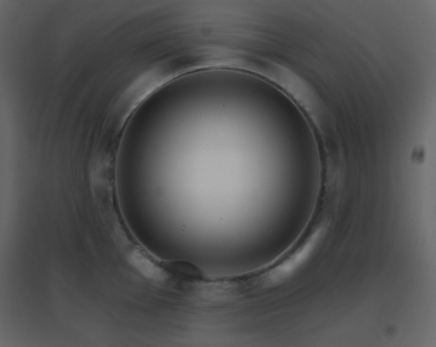 X0000096691001200802051341