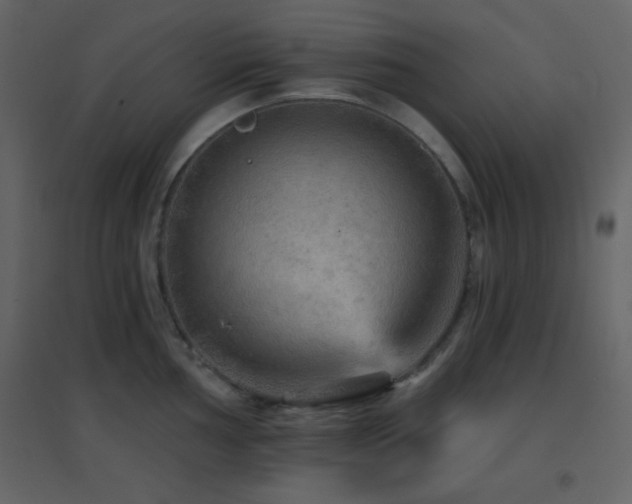 X0000096691002200802051341