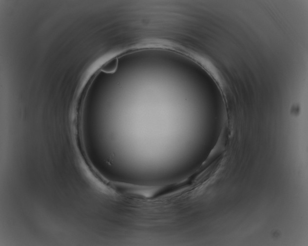 X0000096691003200802051341
