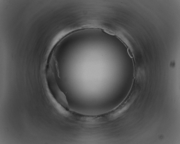 X0000096691005200802051341