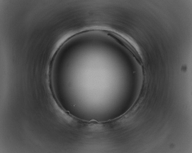 X0000096691006200802051341