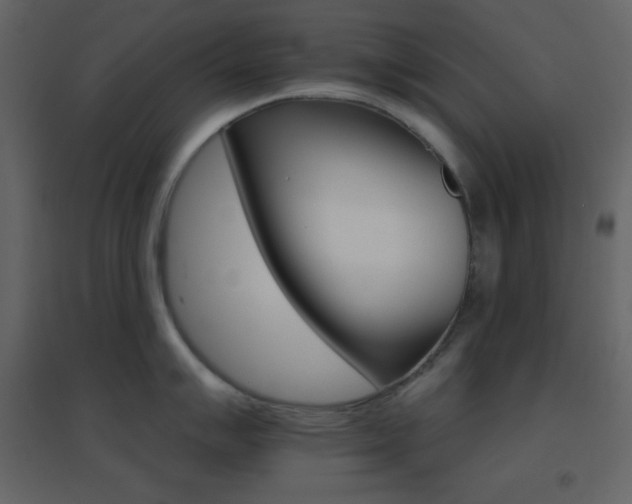 X0000096691007200802051341