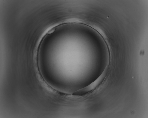 X0000096691008200802051341