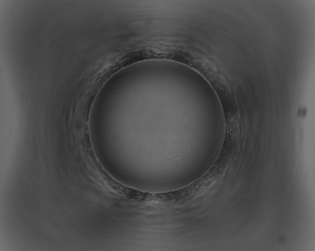 X0000096691009200802051341