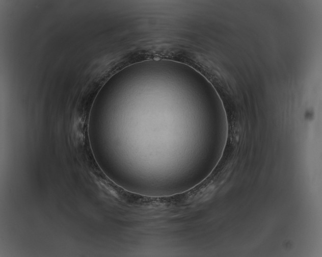 X0000096691010200802051341