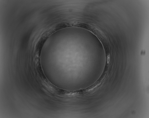 X0000096691011200802051341