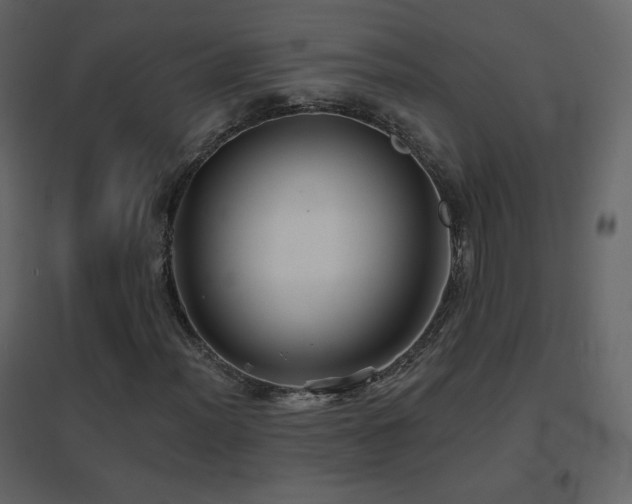 X0000096691012200802051341