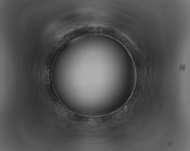 X0000096691013200802051341
