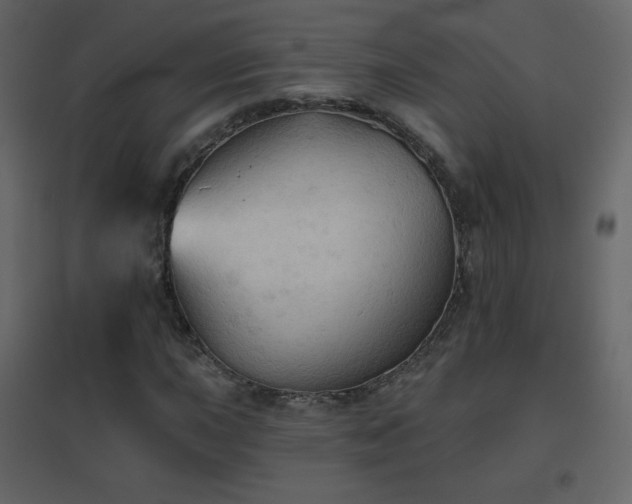 X0000096691015200802051341