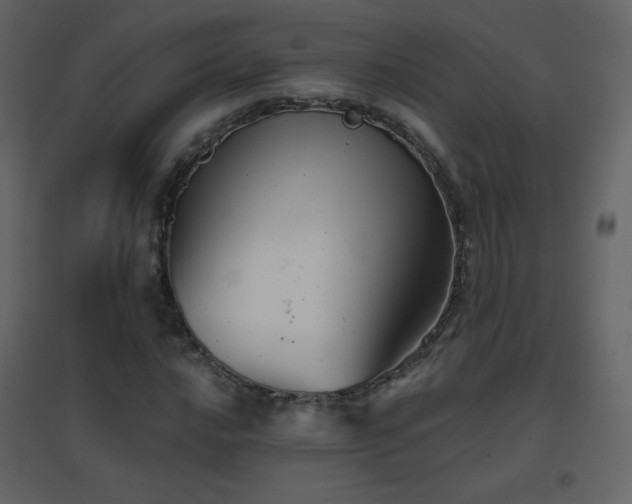 X0000096691016200802051341