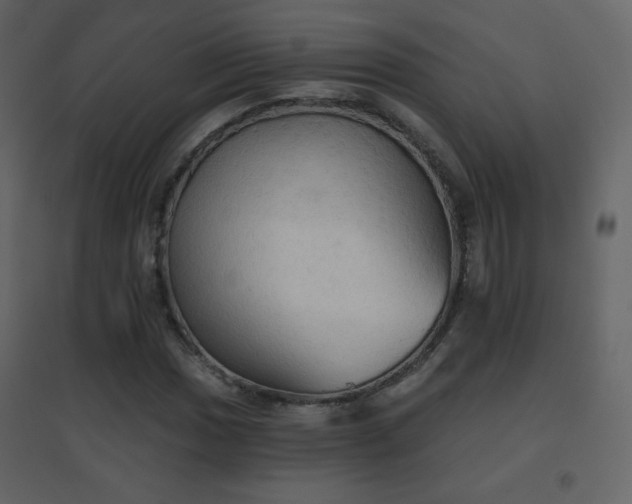 X0000096691017200802051341