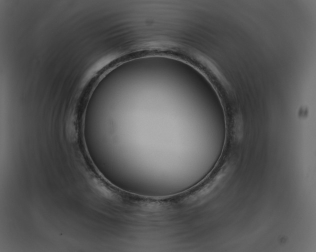 X0000096691018200802051341