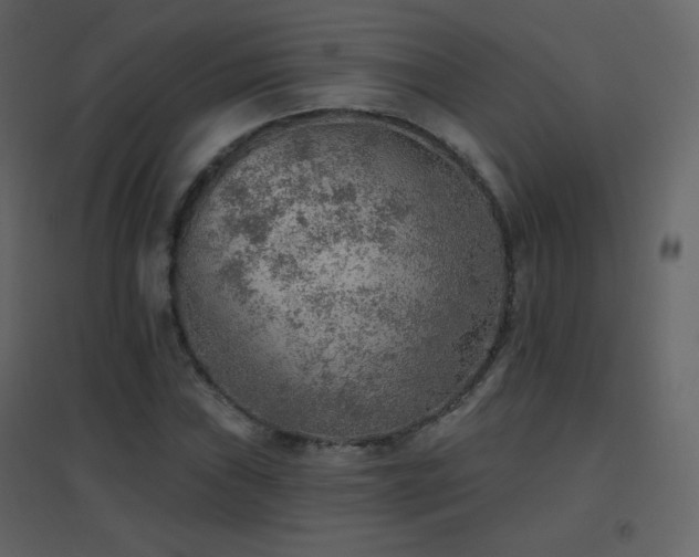 X0000096691019200802051341
