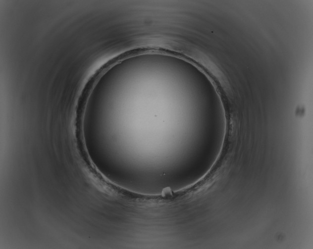 X0000096691020200802051341
