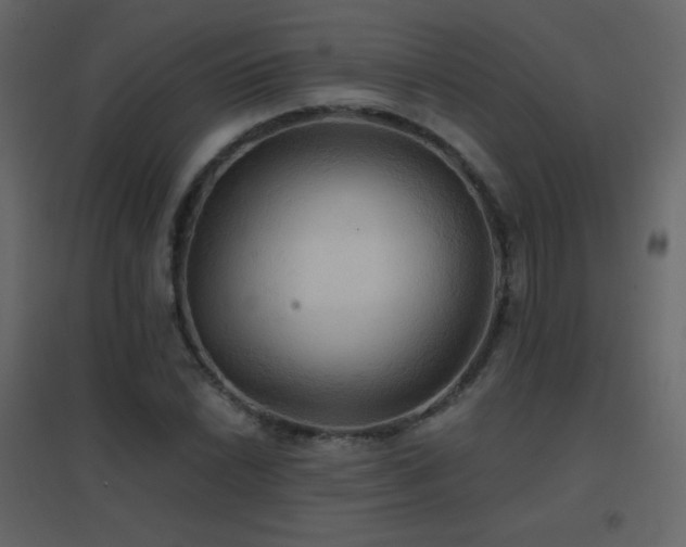 X0000096691022200802051341
